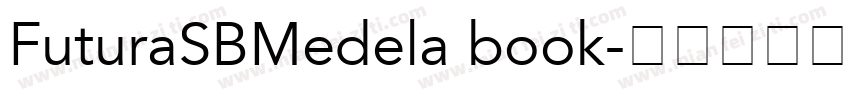 FuturaSBMedela book字体转换